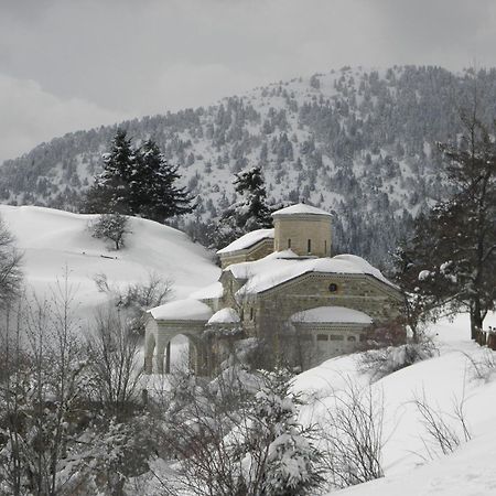 Guesthouse Theodorou Eláti Exteriér fotografie